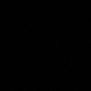 Meet your Posher, Lily